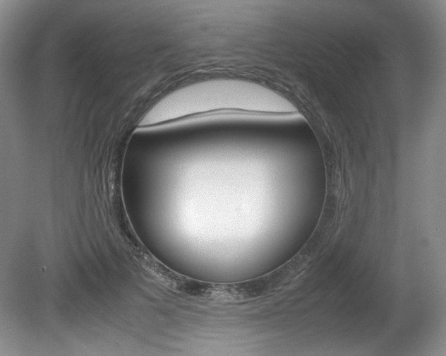 X0000080140697200612081027