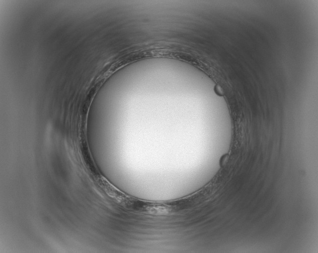X0000080140698200612081027