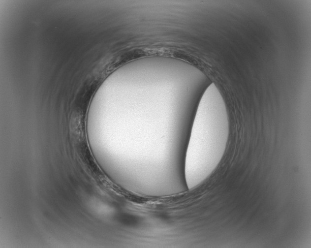 X0000080140699200612081027