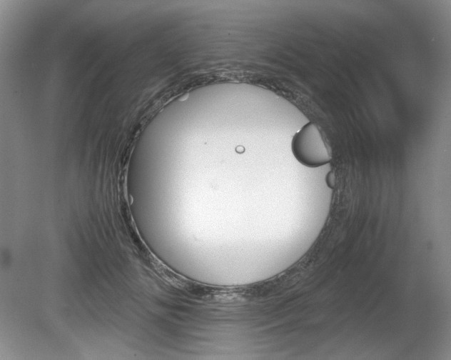X0000080140702200612081026