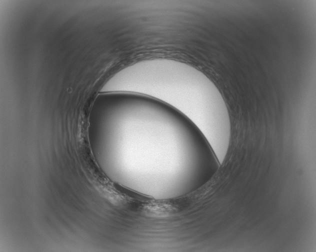 X0000080140712200612081026