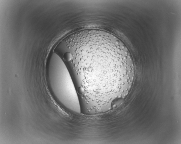 X0000080140721200612081025