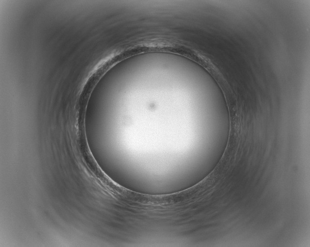 X0000080140727200612081025