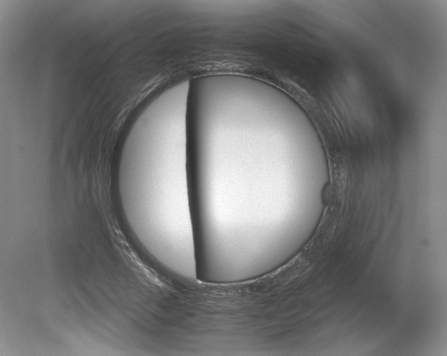 X0000080140729200612081025