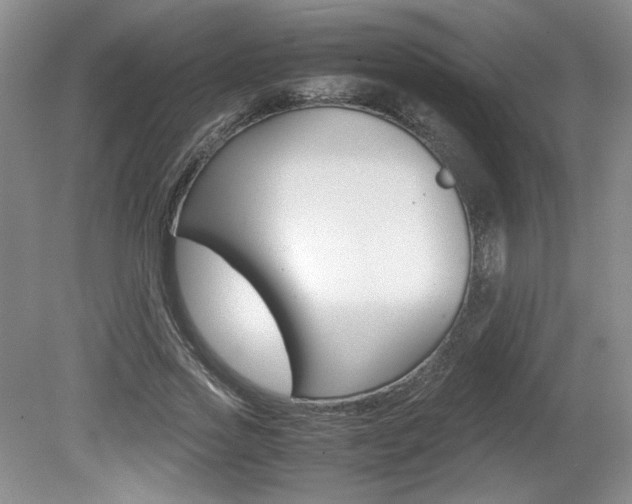X0000080140733200612081026