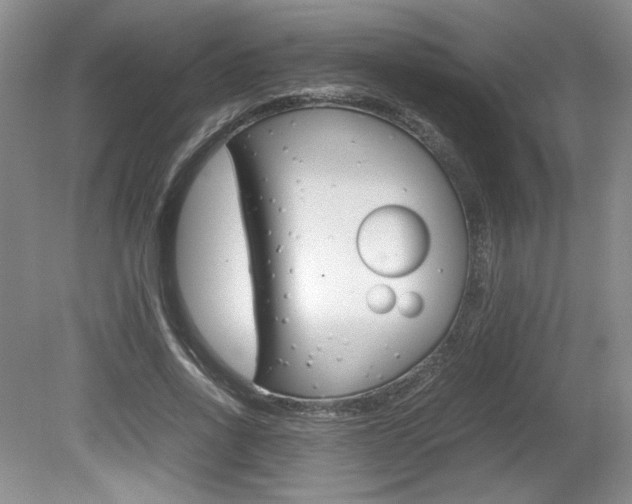 X0000080140734200612081026