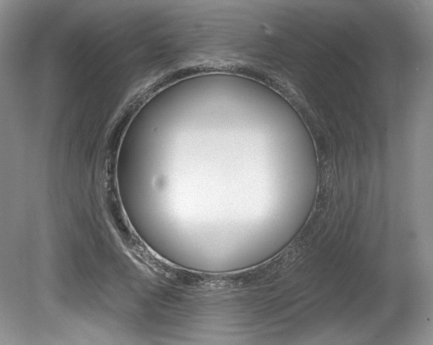 X0000080140736200612081026