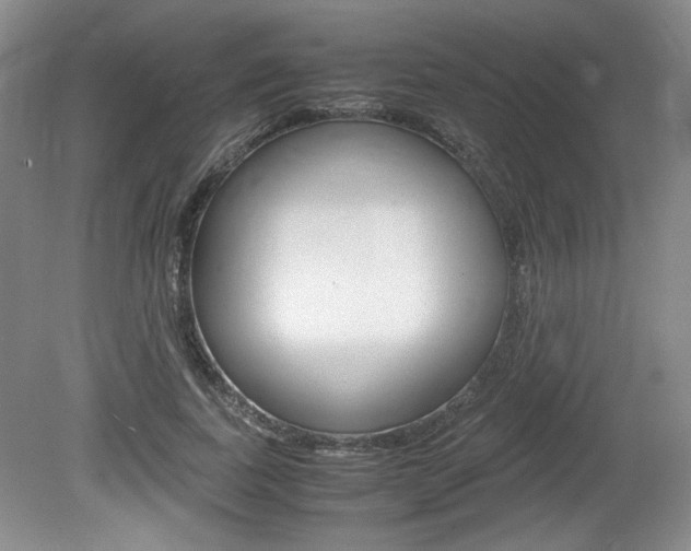 X0000080140739200612081026