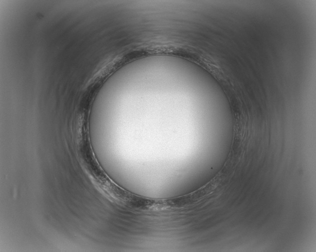 X0000080140742200612081026