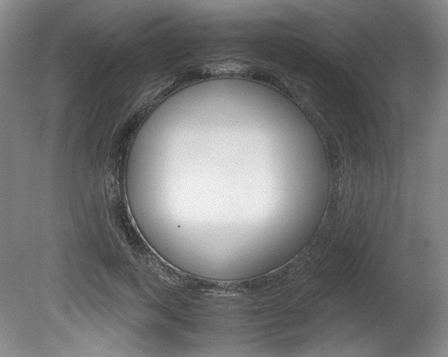 X0000080140743200612081026
