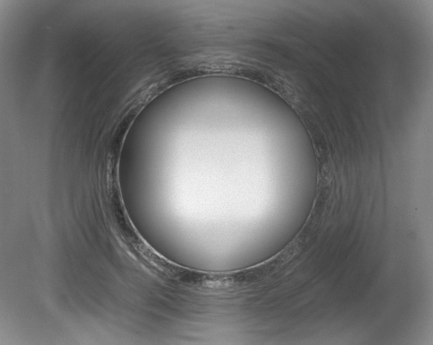 X0000080140744200612081026