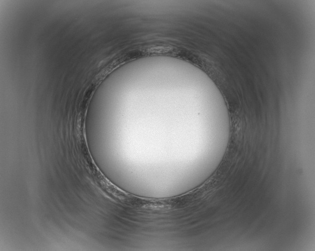 X0000080140745200612081026