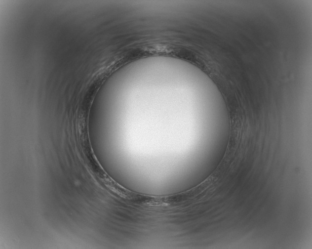 X0000080140747200612081026