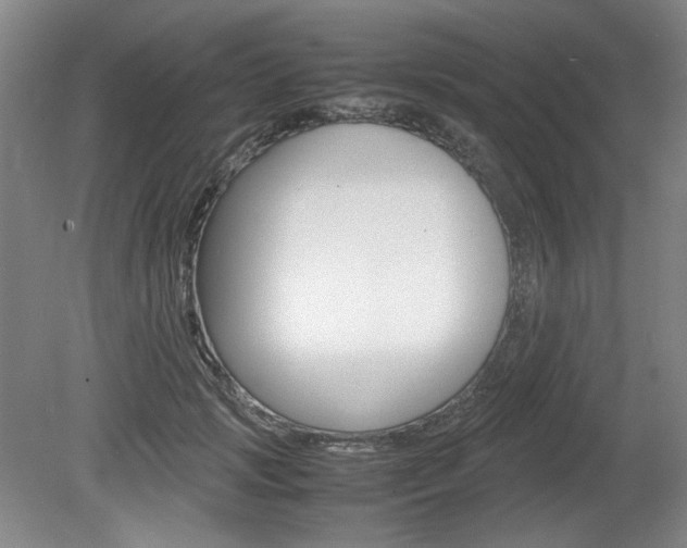 X0000080140749200612081026