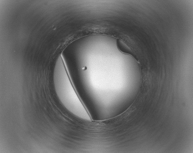 X0000080140752200612081026