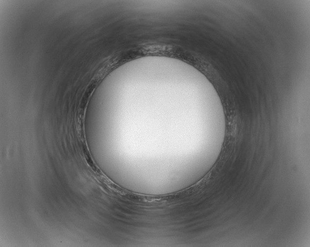 X0000080140753200612081026
