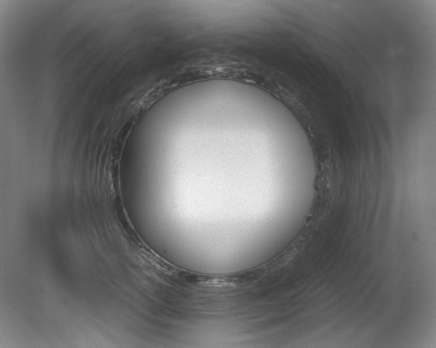 X0000080140754200612081026