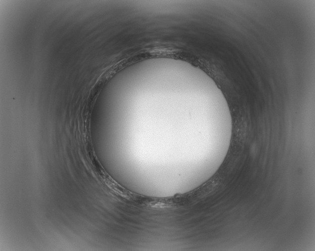 X0000080140755200612081026