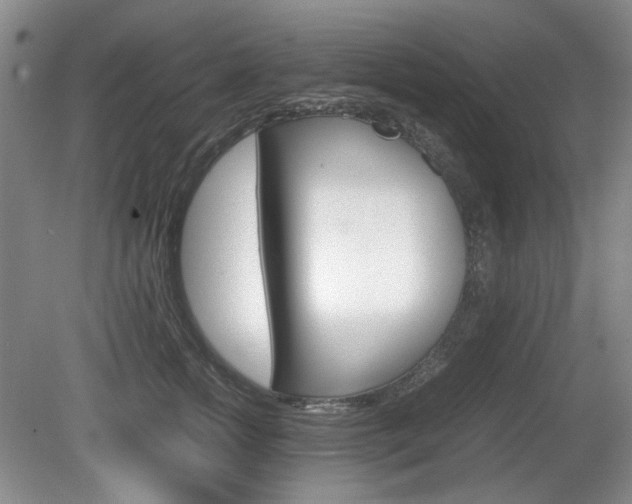 X0000080140758200612081026