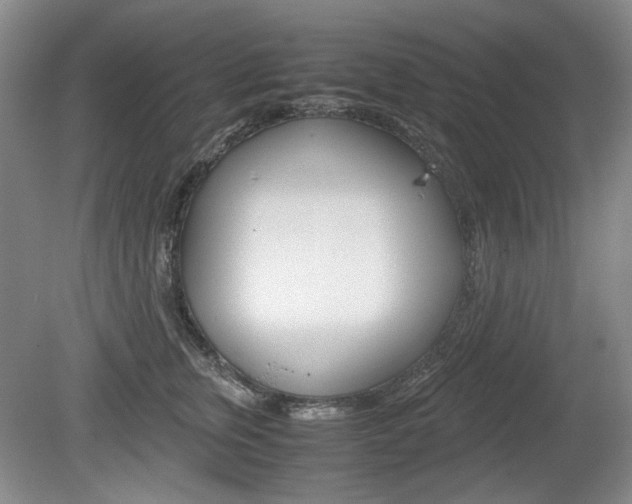 X0000080140759200612081026