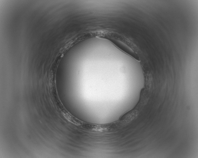 X0000080140760200612081026