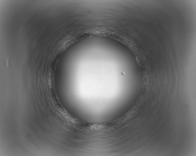 X0000080140762200612081026
