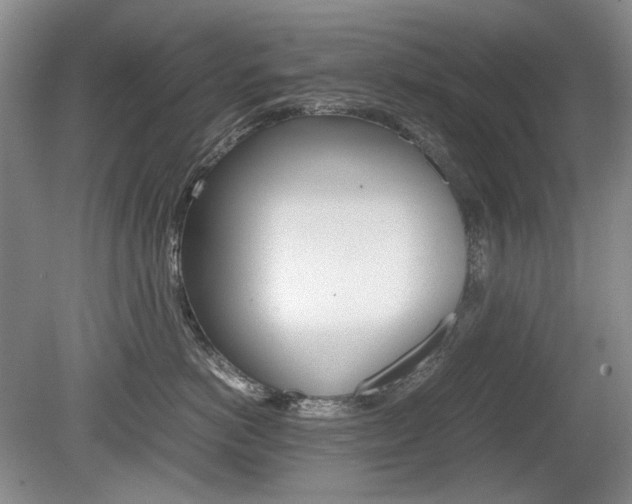 X0000080140766200612081026