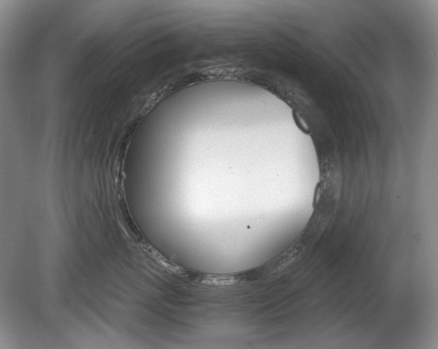 X0000080140767200612081026