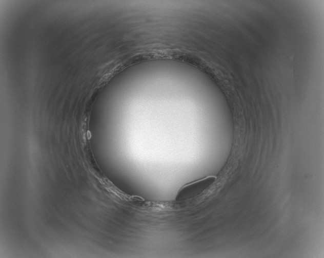 X0000080140768200612081026