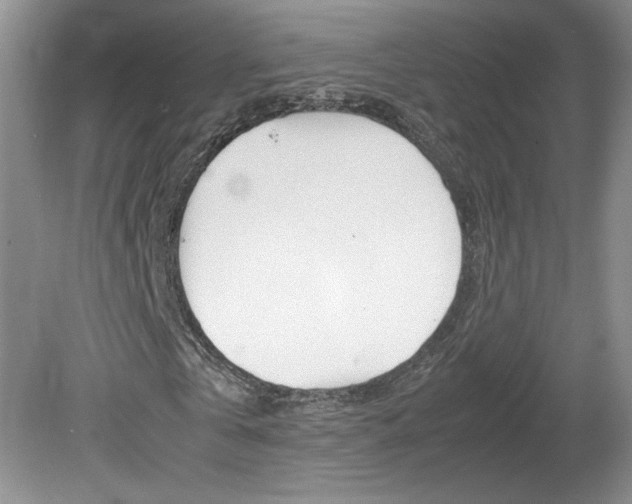 X0000080140769200612081025