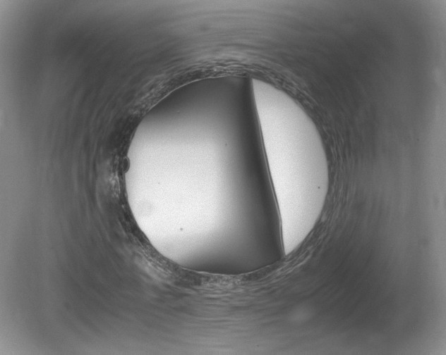X0000080140771200612081025