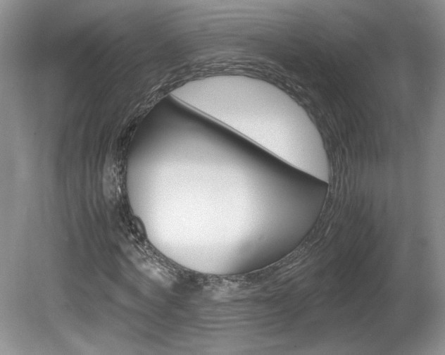 X0000080140772200612081025