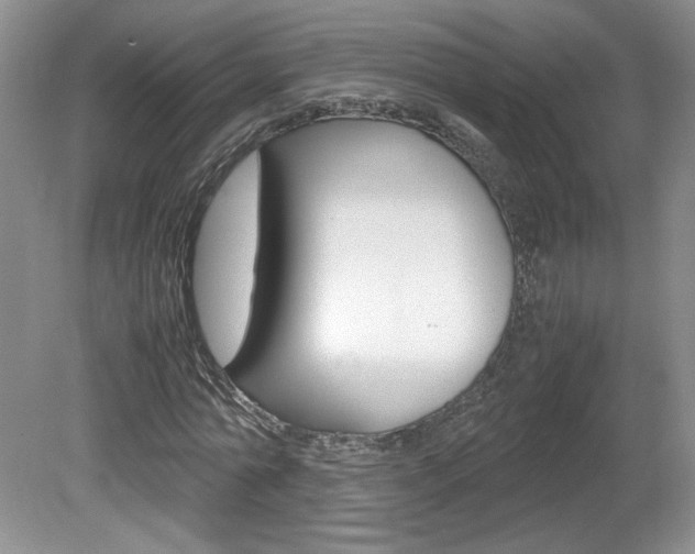 X0000080140774200612081025