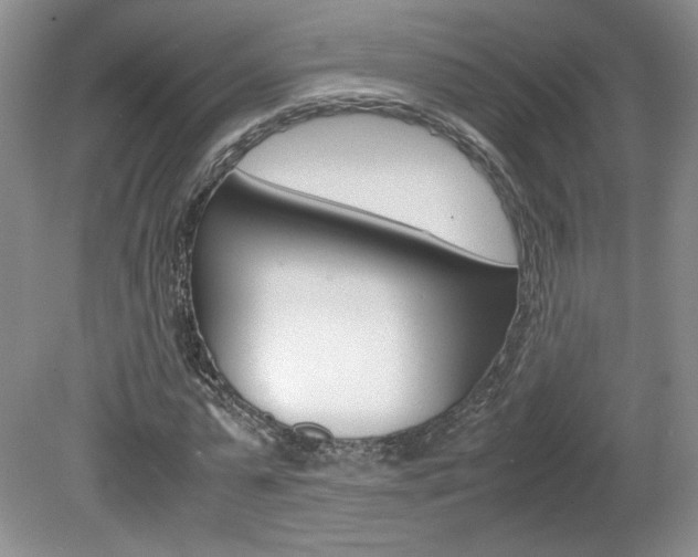 X0000080140775200612081025