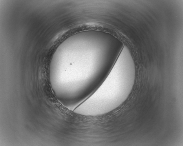 X0000080140776200612081025