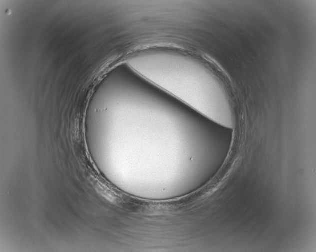 X0000080140777200612081025