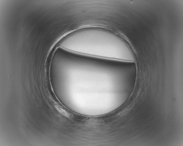 X0000080140779200612081025