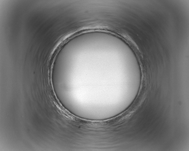 X0000080140781200612081025
