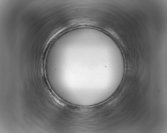 X0000080140782200612081025