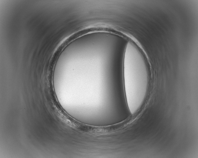 X0000080140783200612081025