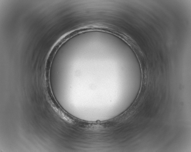 X0000080140784200612081025
