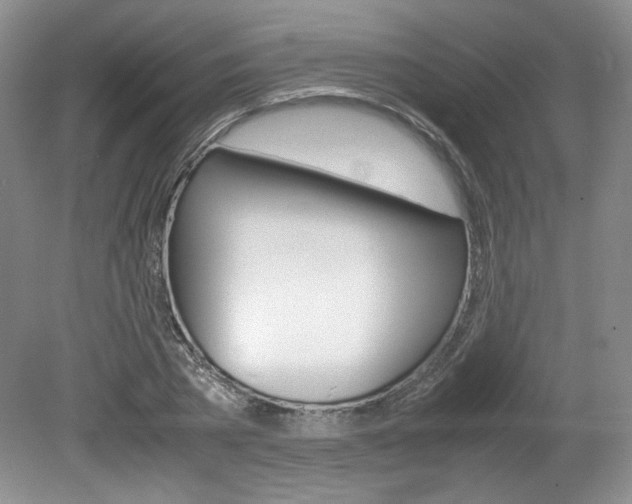 X0000080140785200612081025