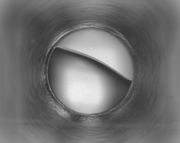 X0000080140786200612081025
