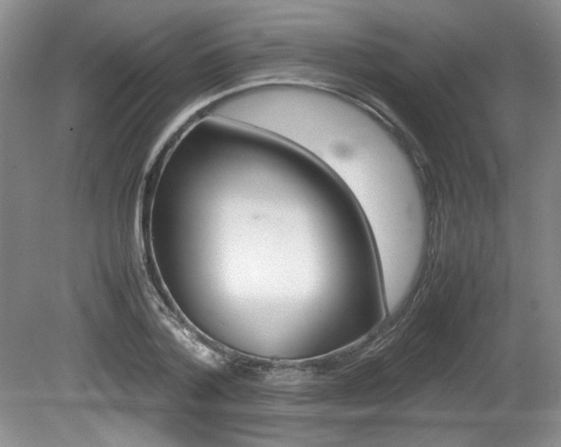 X0000080140788200612081025