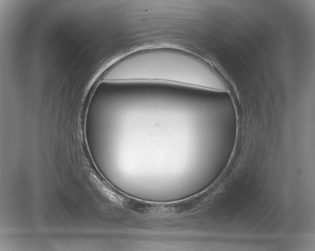 X0000080140789200612081025