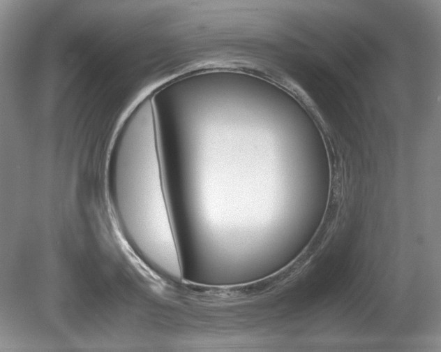 X0000080140795200612081025