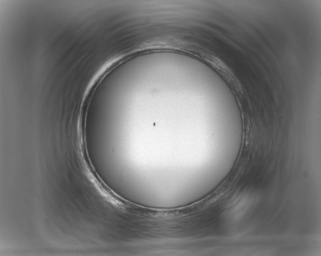 X0000080140796200612081025