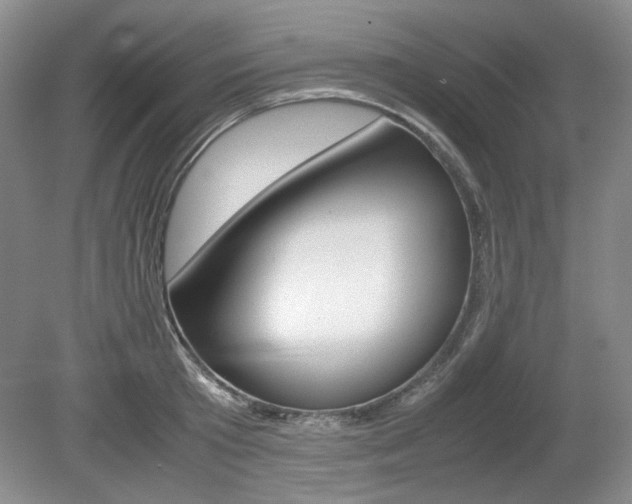 X0000080140801200612081025