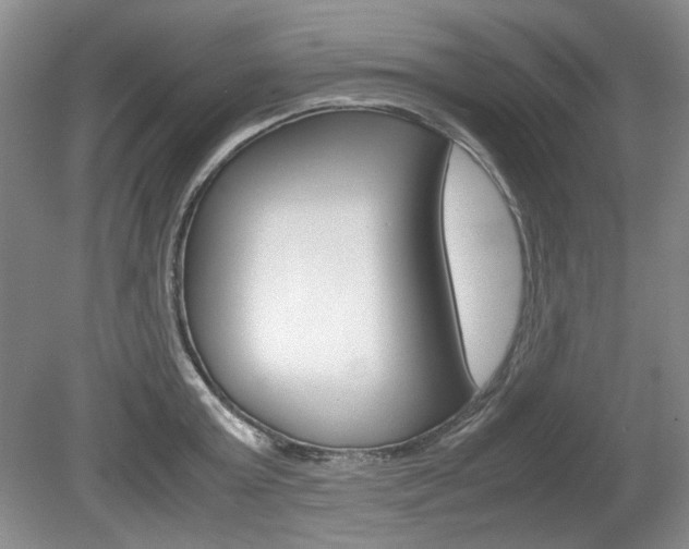 X0000080140803200612081025