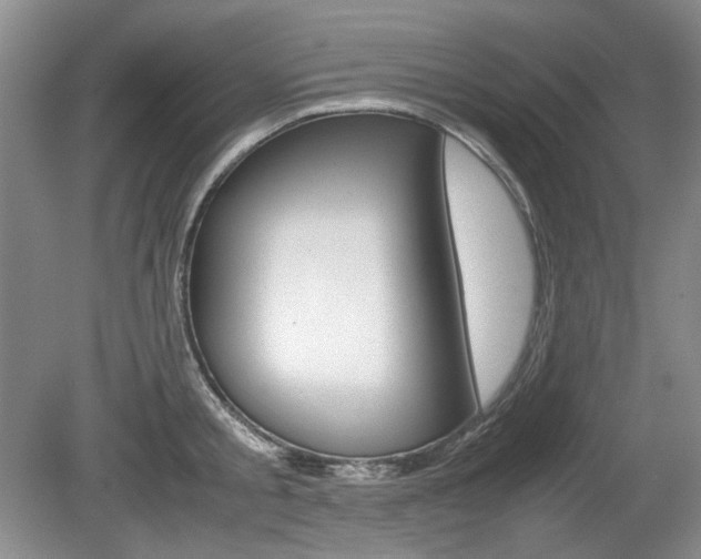X0000080140805200612081025